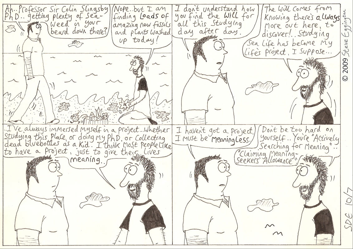 Projects and Meanings